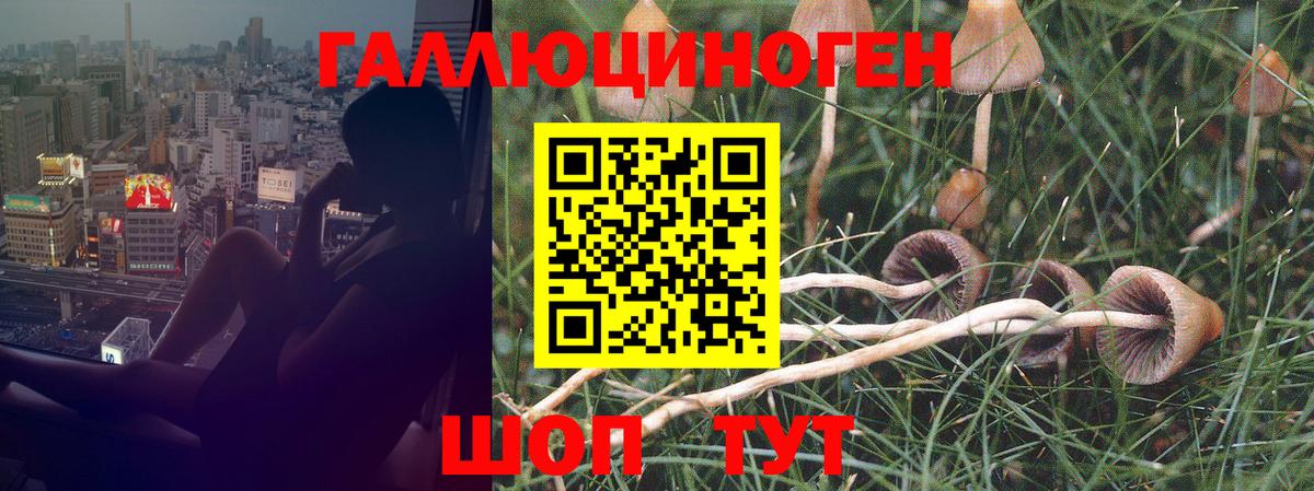 Костомукша  Псилоцибиновые грибы мицелий  Вход с VPN 